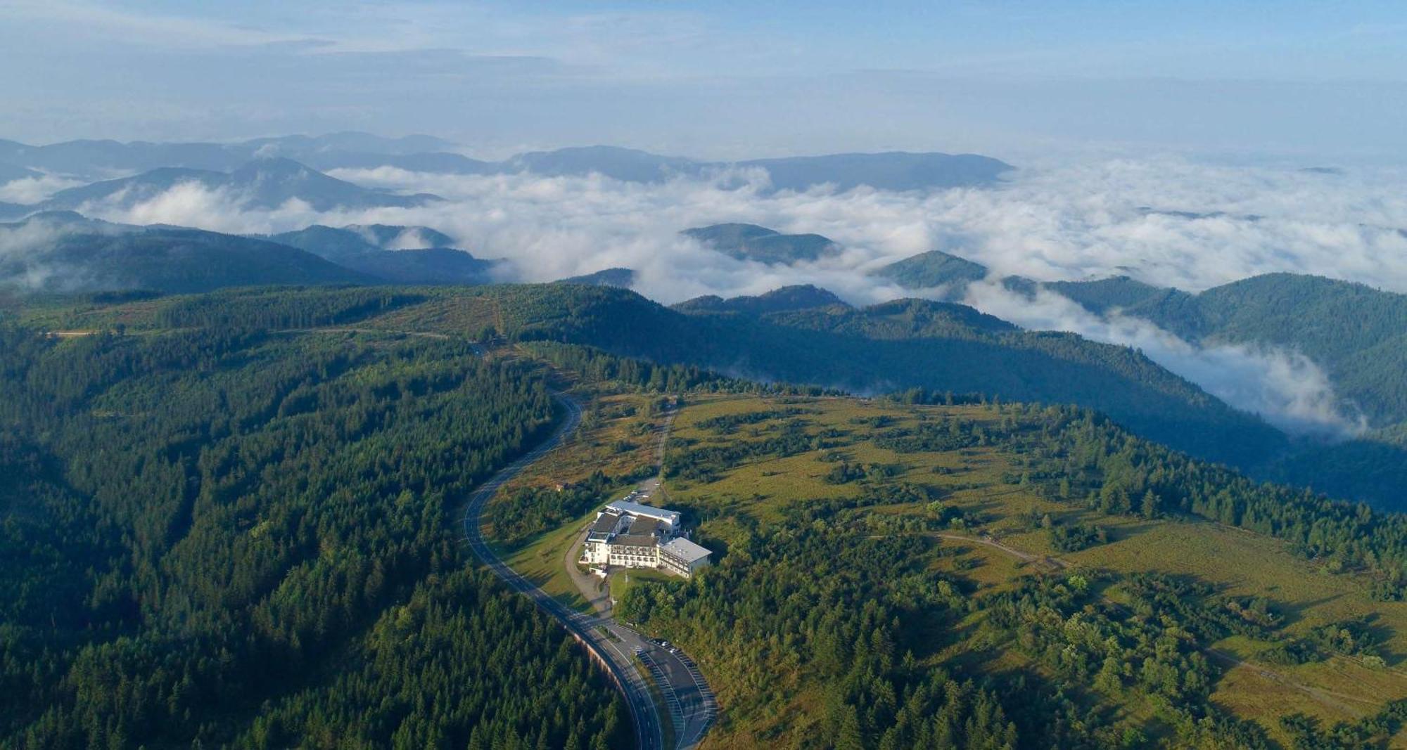 Wellness-& Nationapark Hotel Schliffkopf, Bwsc Baiersbronn Bagian luar foto