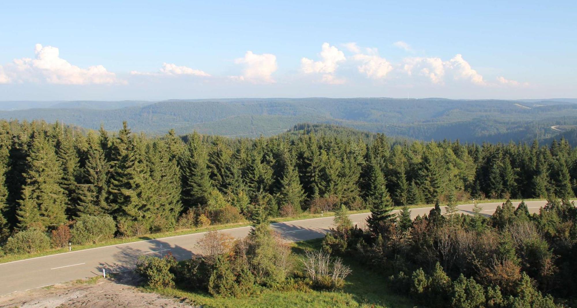 Wellness-& Nationapark Hotel Schliffkopf, Bwsc Baiersbronn Bagian luar foto