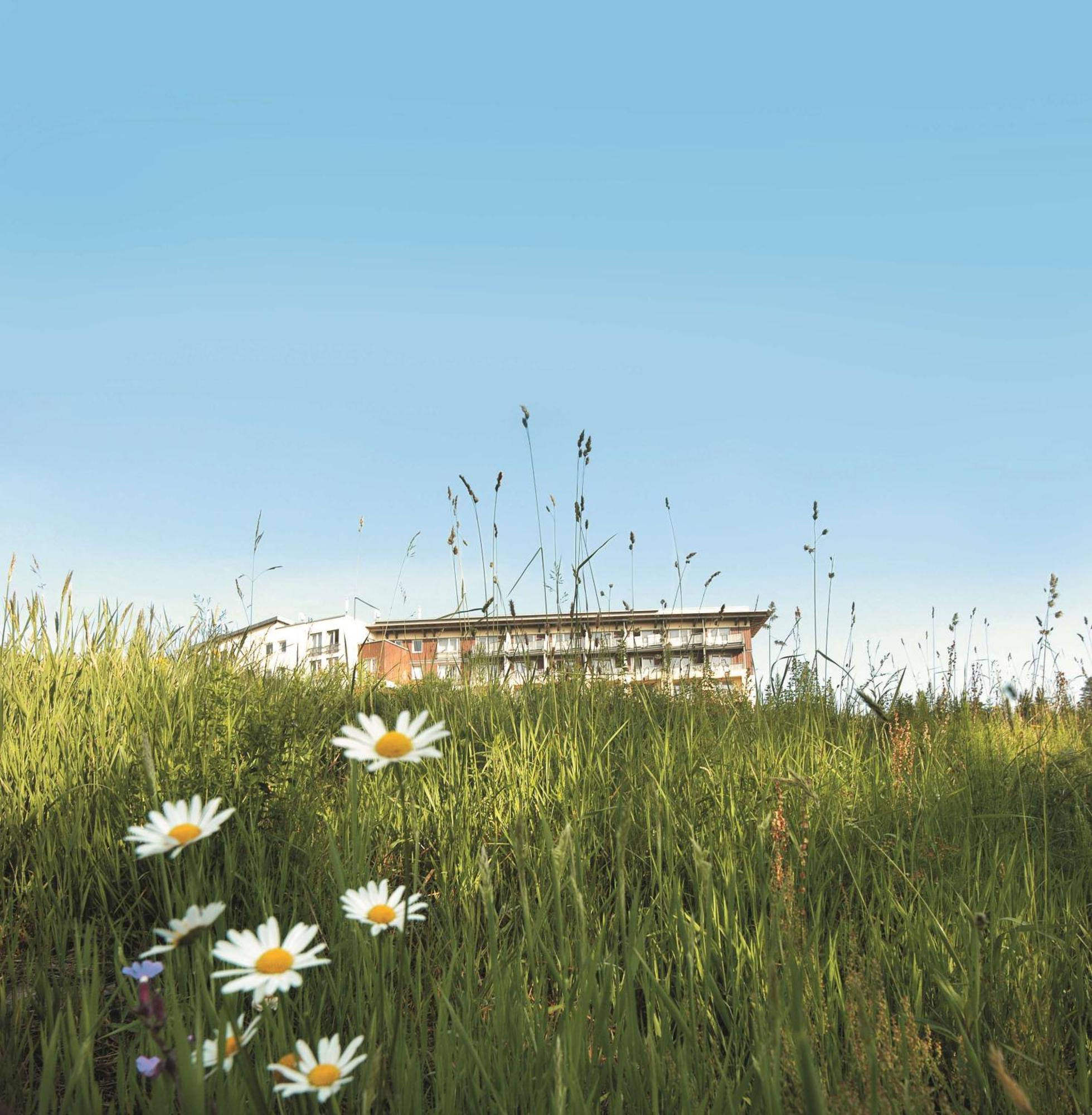 Wellness-& Nationapark Hotel Schliffkopf, Bwsc Baiersbronn Bagian luar foto